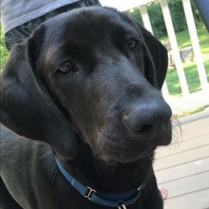 Meet your Posher, Jenna